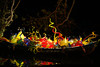 beetography > Chihuly @ Fairchild >  DSC_1380