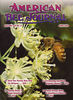 Cover photo on American Bee Journal, June 2006. A bee foraging on basswood flowers, MSU entomology planting, taken June25, 2005.