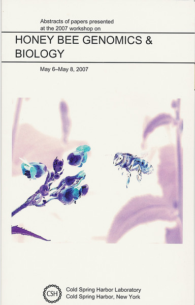 Cover photo on the program book of "Honey Bee Genomics and Biology" workshop held at Cold Spring Harbor, May 2007.  A bee foarging on the Simpson's honey plant.  Color negative.