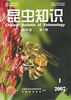 Cover photo on Chinese Bulletin of Entomology.  A bee foraging on crimson clover, Taiwan National University, Teipei, Taiwan.