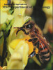 cover-entomology100year