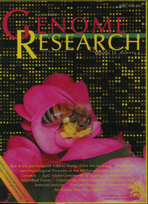 Cover photo of Genome Research.  April, 2002.  Used to illustrate a paper on honey bee genomics using microarray.