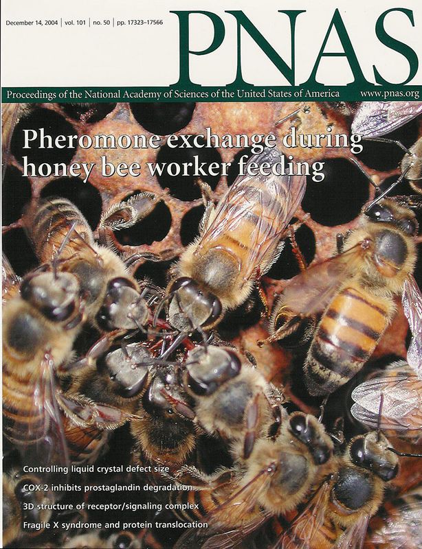 Cover photo of the Proceedings of the National Academy of Sciences. Dec, 2004.  The cover is about a paper on the newst honey bee pheromone, which I am also an author.