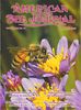 Cover photo on American Bee Journal, Nov. 2005. A bee foraging on an aster, taken October 2004.