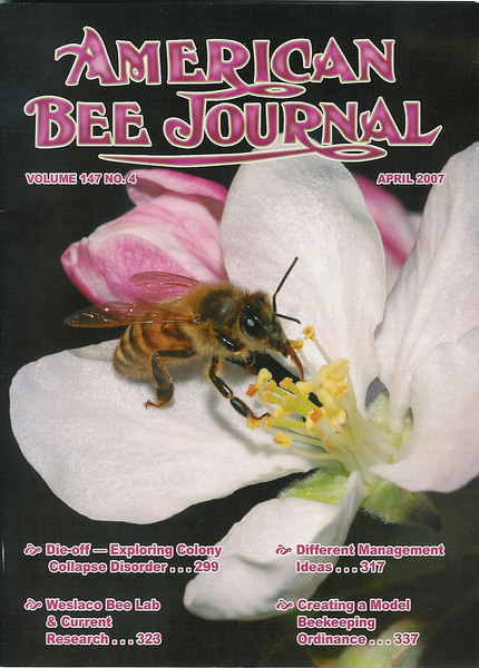 Cover photo on American Bee Journal, April 2007. A bee foraging on an apple blossom.