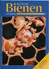 Cover photo of Deutsches Bienen Journal (German Bee Journal). April 2005.  Used as a special issue on varroa mites.