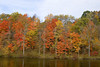 beetography > Fall Colors >  DSC_9478