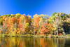 beetography > Fall Colors >  DSC_9466
