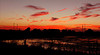 beetography > Sunsets >  sunset-DSC_9574