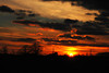 beetography > Sunsets >  sunset-DSC_0691