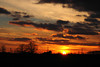beetography > Sunsets >  sunset-DSC_0693