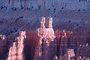 beetography > Bryce Canyon National Park >  DSC_6705
