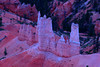beetography > Bryce Canyon National Park >  DSC_6779