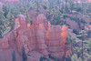 beetography > Bryce Canyon National Park >  DSC_6854