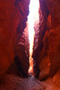 beetography > Bryce Canyon National Park >  DSC_6980navajo