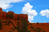 beetography > Bryce Canyon National Park >  DSC_7011