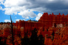 beetography > Bryce Canyon National Park >  DSC_7014storm-over