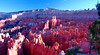 beetography > Bryce Canyon National Park >  DSC_6693