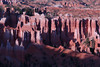 beetography > Bryce Canyon National Park >  DSC_6723