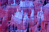 beetography > Bryce Canyon National Park >  DSC_6781-