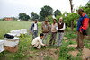 beetography > Nepal >  beekeeping-DSC_0389