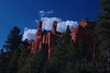 beetography > Red Canyon >  DSC_6688