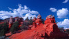 beetography > Red Canyon >  DSC_6677-redcanyon