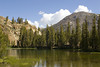 beetography > Yosemite National Park >  DSC_6726ysm