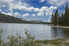 beetography > Yosemite National Park >  DSC_6742yosemite