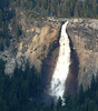 beetography > Yosemite National Park >  DSC_6914ysm